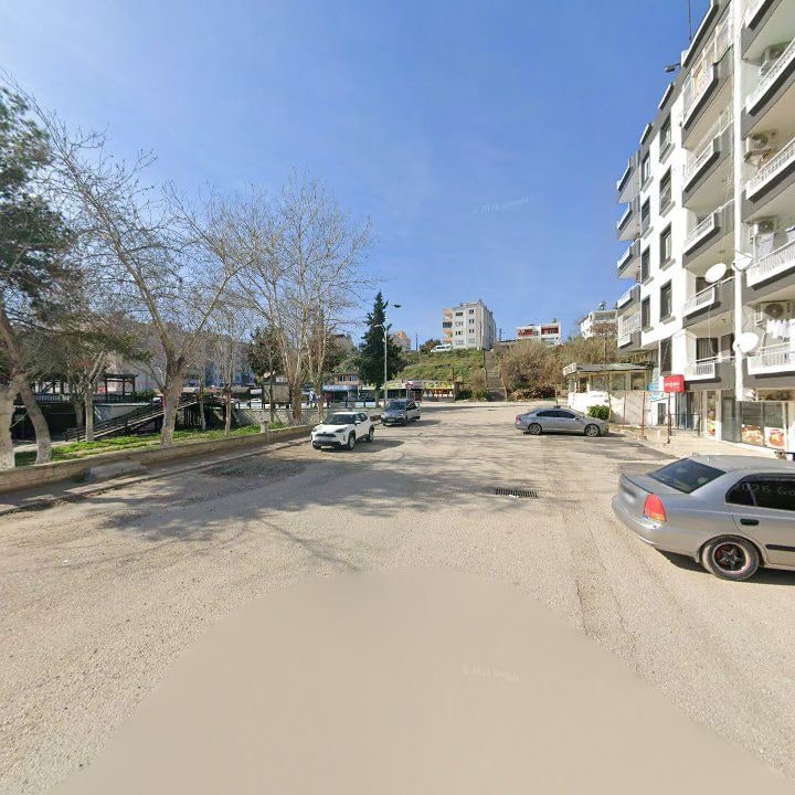 Fotoğraf 10