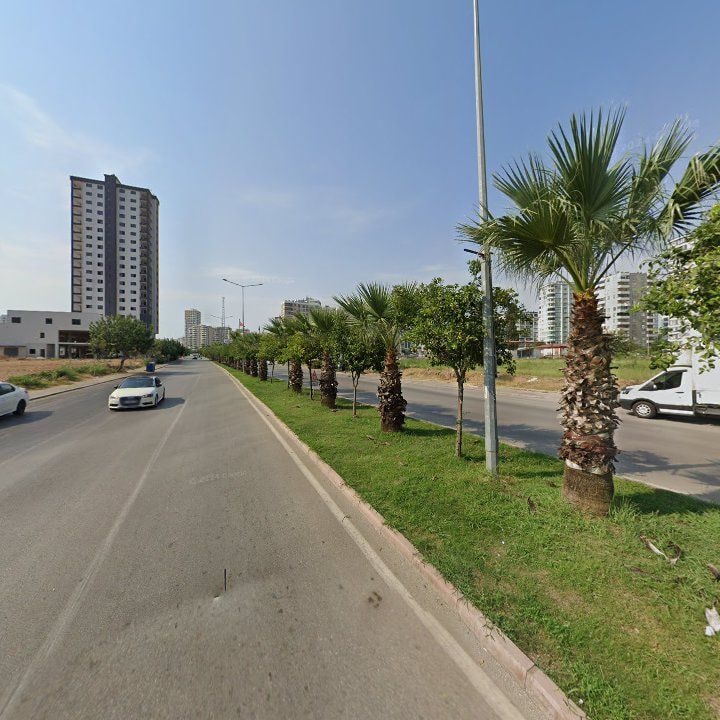 Fotoğraf 8