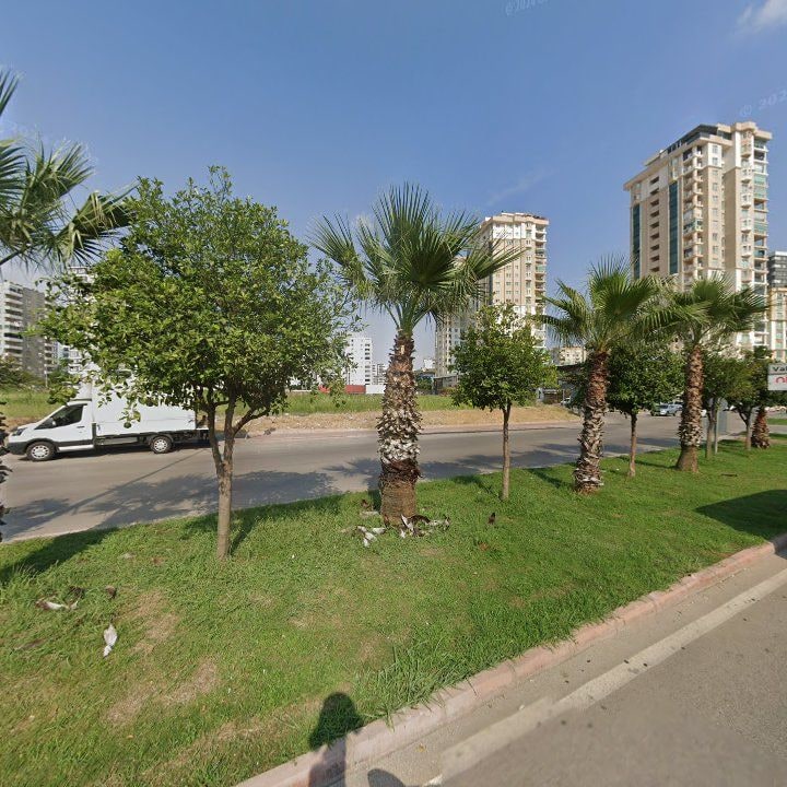 Fotoğraf 9