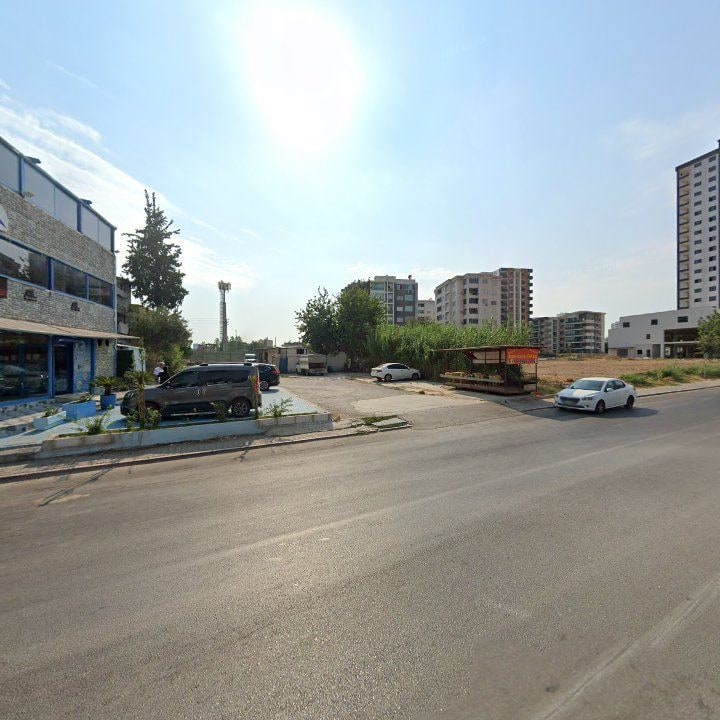 Fotoğraf 7