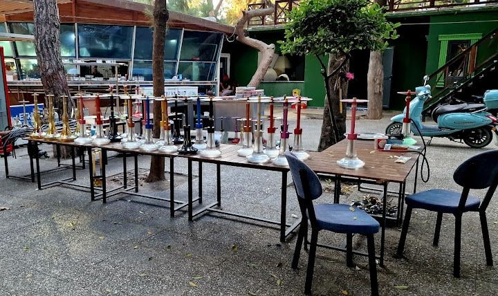 Denize Karşı Garden