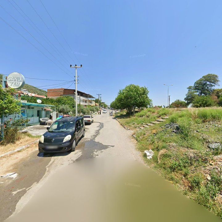 Fotoğraf 8