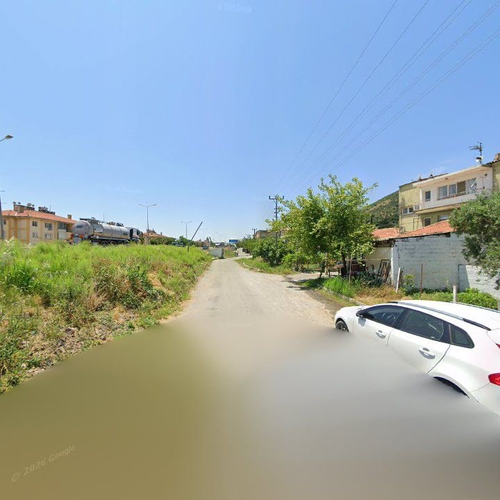 Fotoğraf 10