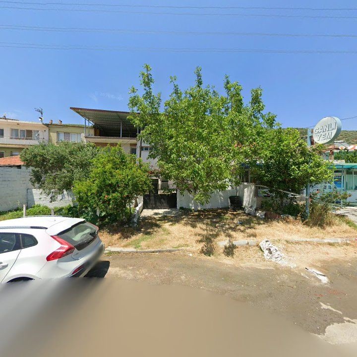 Fotoğraf 7