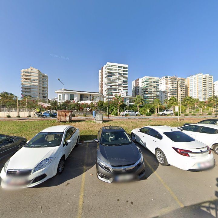 Fotoğraf 12