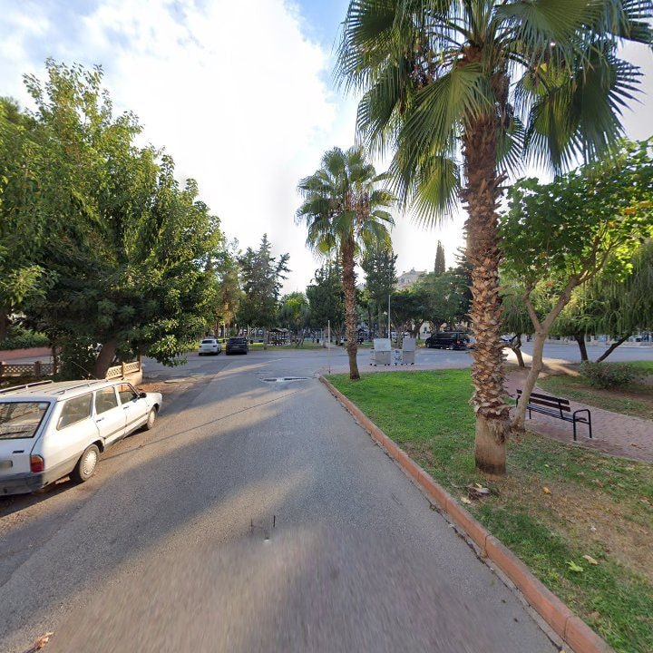 Fotoğraf 9
