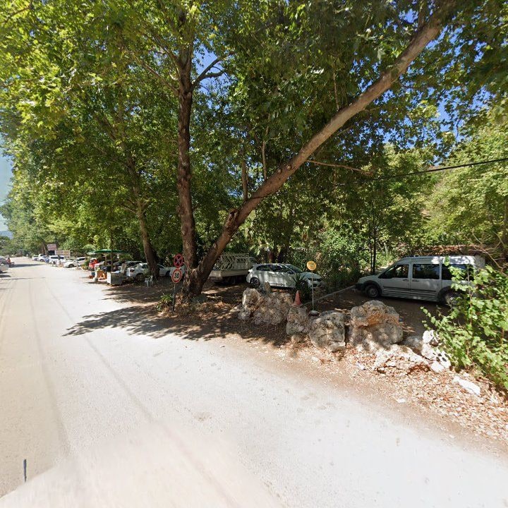 Fotoğraf 8