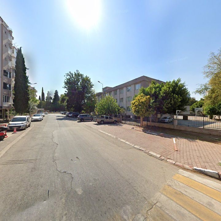 Fotoğraf 8