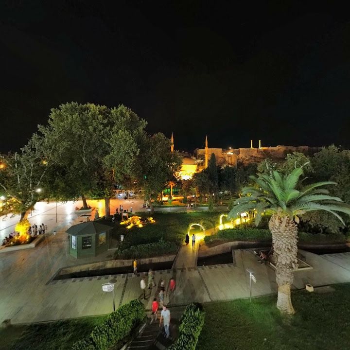 Fotoğraf 8