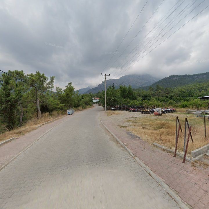 Fotoğraf 10