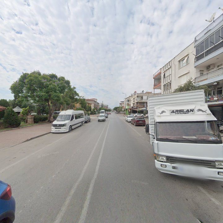 Fotoğraf 16