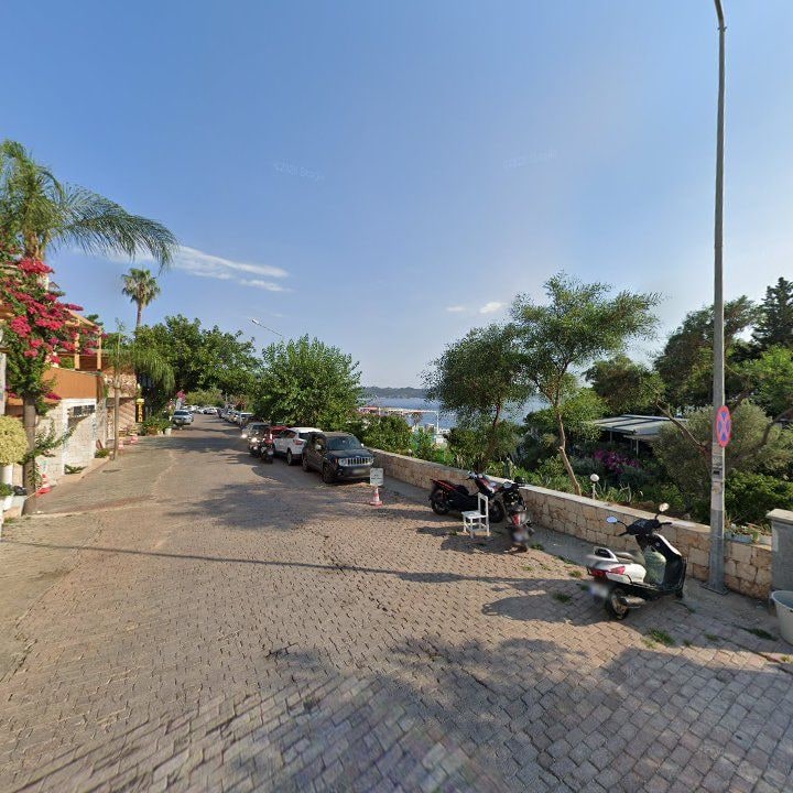 Fotoğraf 12