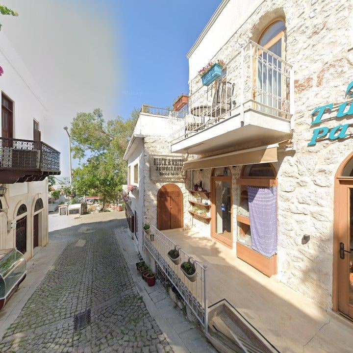 Fotoğraf 12