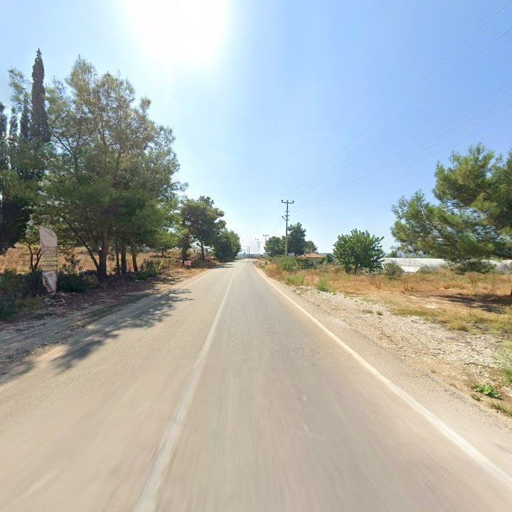 Fotoğraf 11