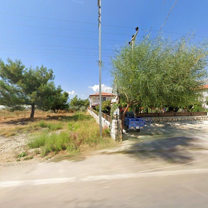 Fotoğraf 8