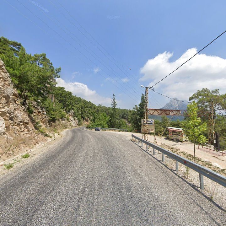 Fotoğraf 10
