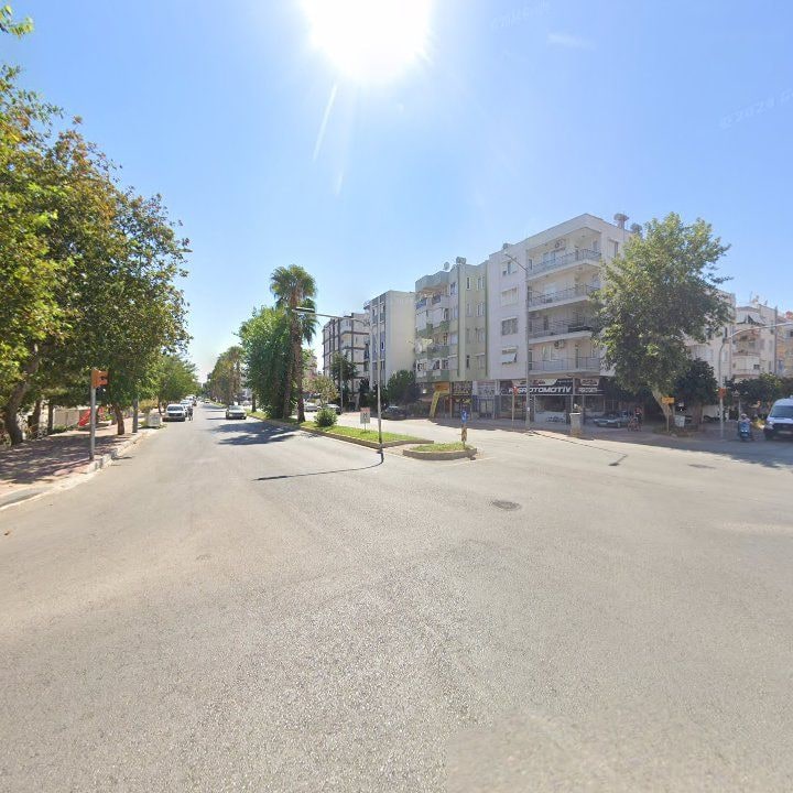 Fotoğraf 9