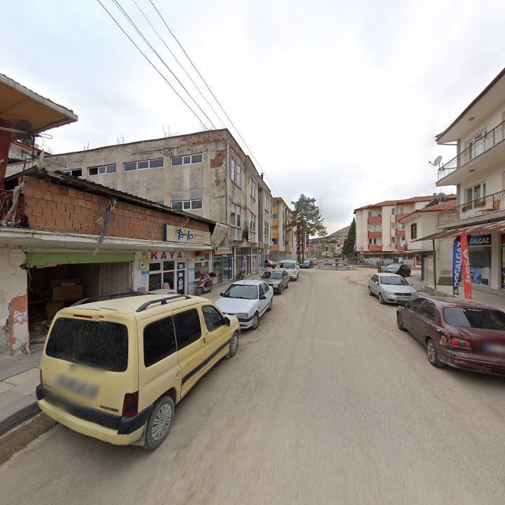 Fotoğraf 7