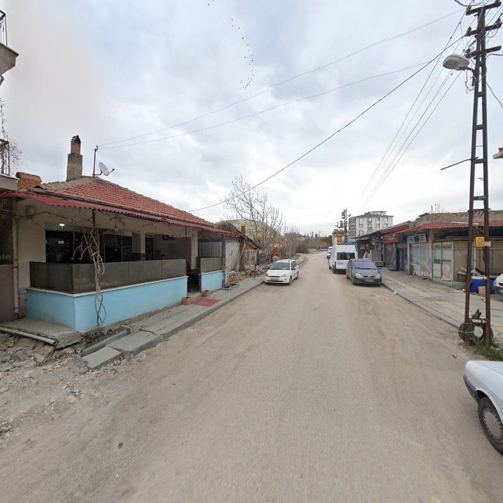 Fotoğraf 5