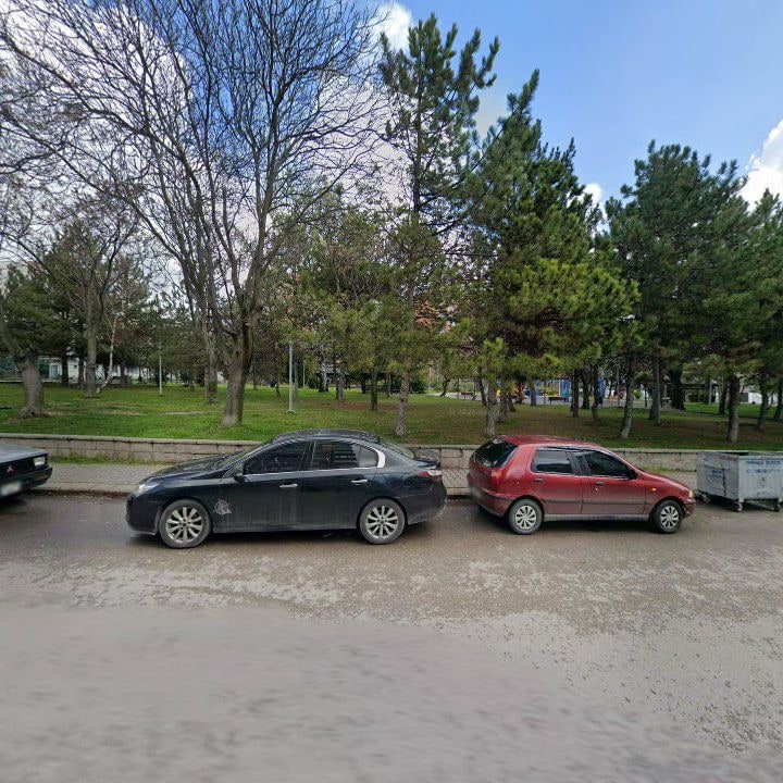 Fotoğraf 9