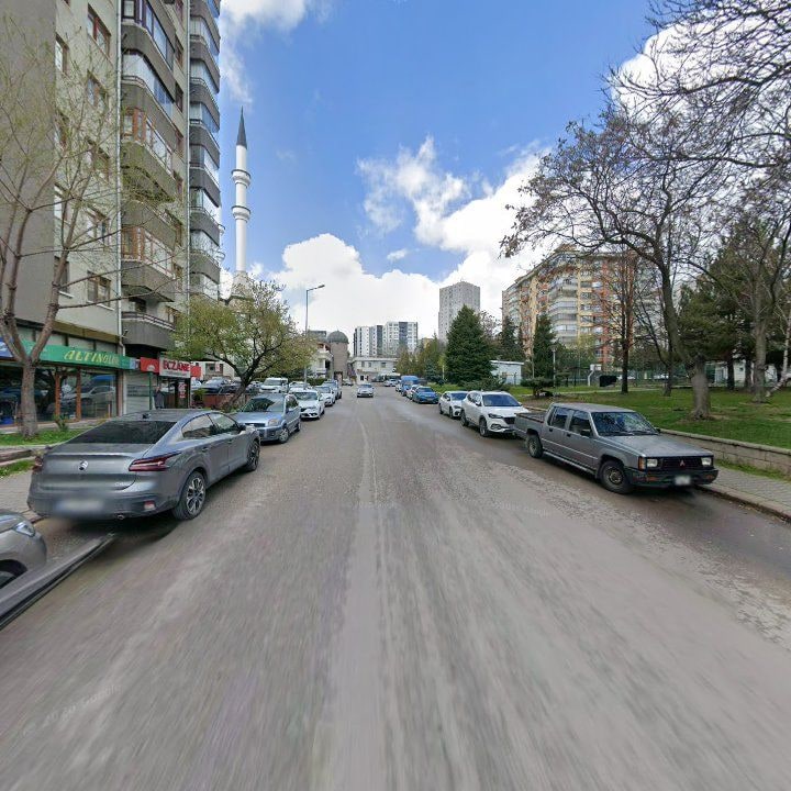 Fotoğraf 8