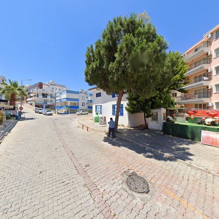 Fotoğraf 8