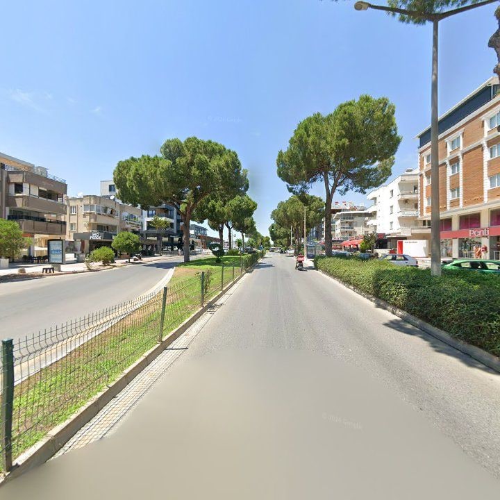 Fotoğraf 11