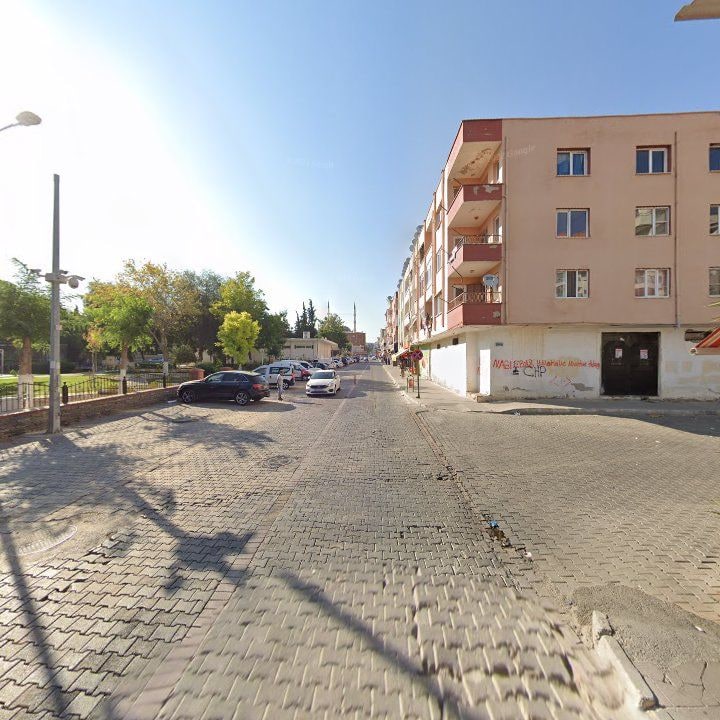 Fotoğraf 7