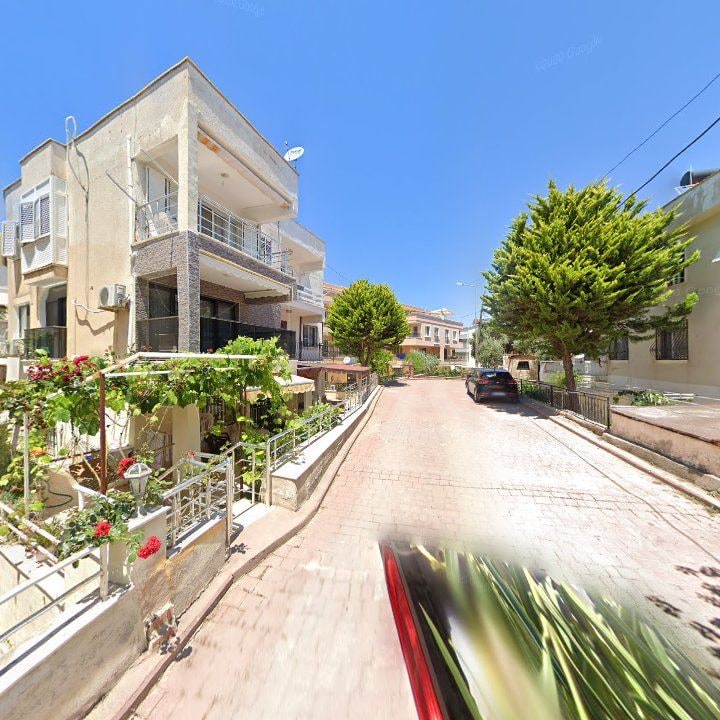 Fotoğraf 11