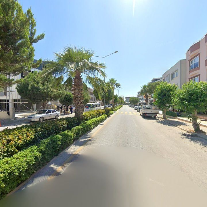 Fotoğraf 10