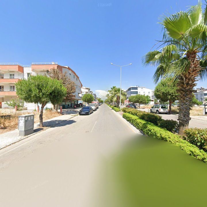 Fotoğraf 10