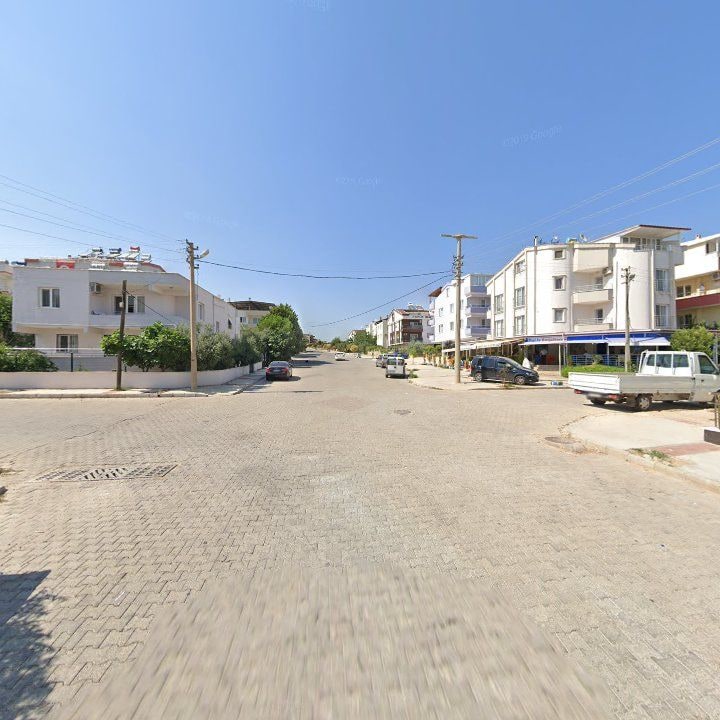 Fotoğraf 10