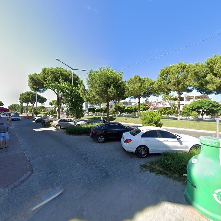 Fotoğraf 9
