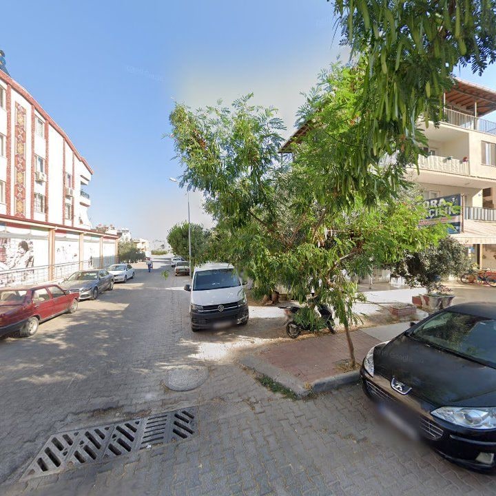 Fotoğraf 7