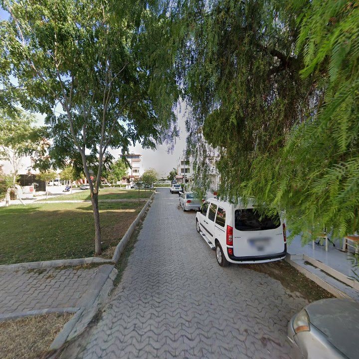 Fotoğraf 6