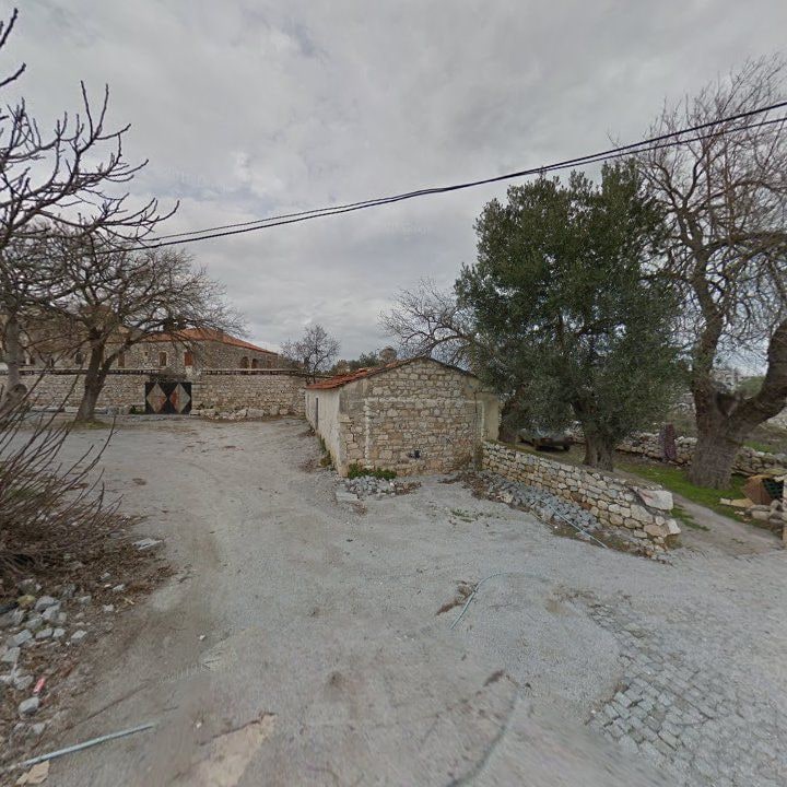 Fotoğraf 10