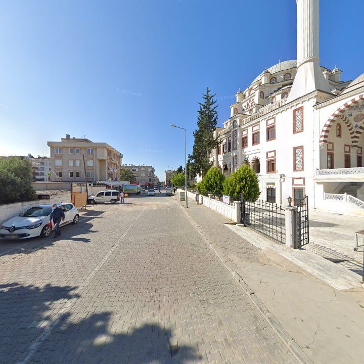 Fotoğraf 7