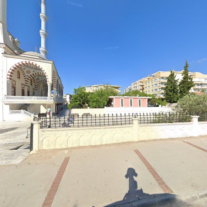 Fotoğraf 8