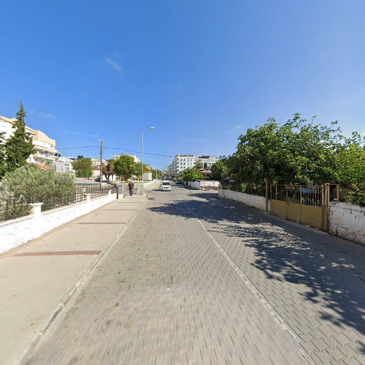 Fotoğraf 9