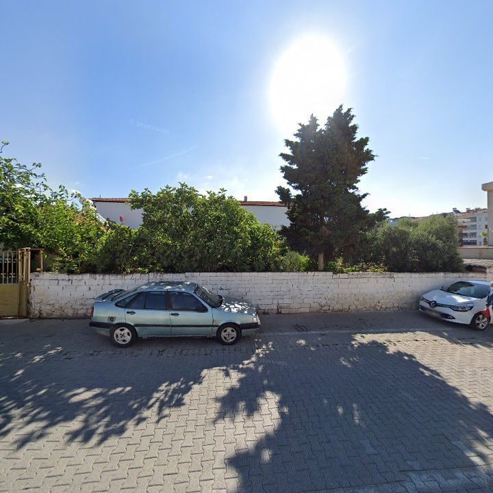 Fotoğraf 6