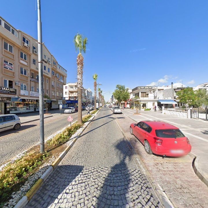 Fotoğraf 8
