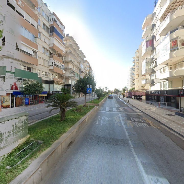 Fotoğraf 11