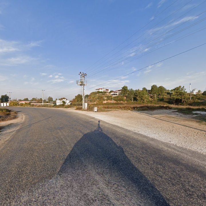 Fotoğraf 10