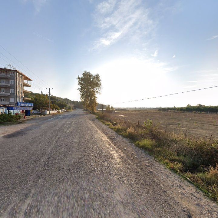 Fotoğraf 9