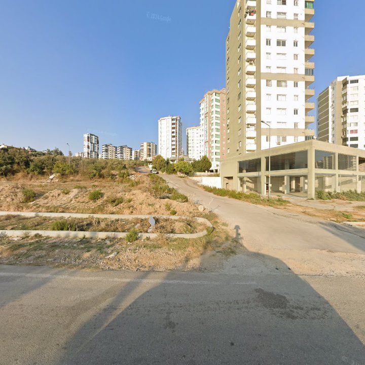 Fotoğraf 7
