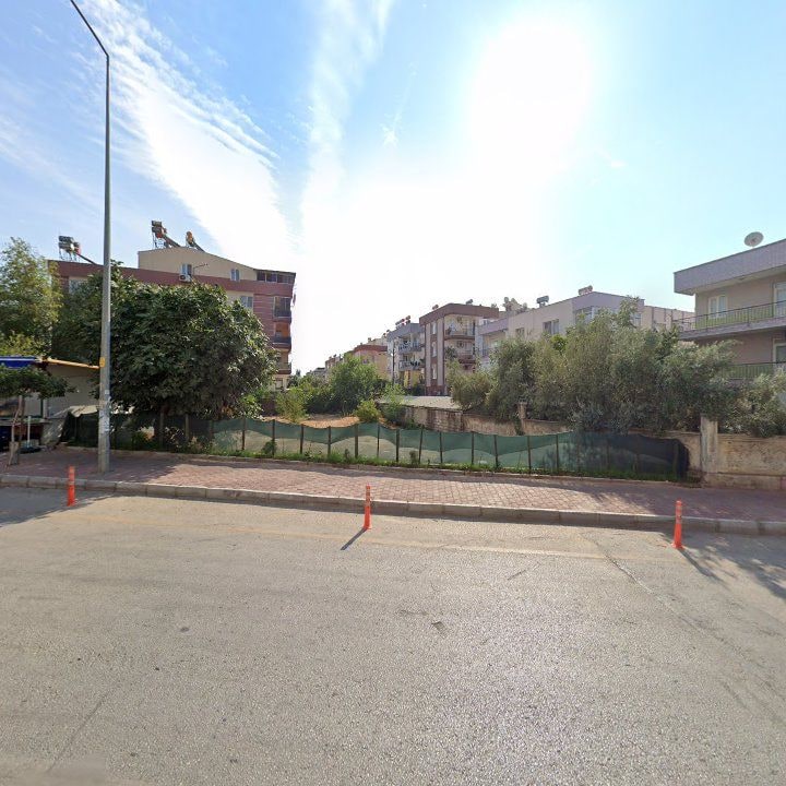 Fotoğraf 7