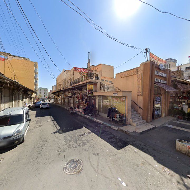 Fotoğraf 12