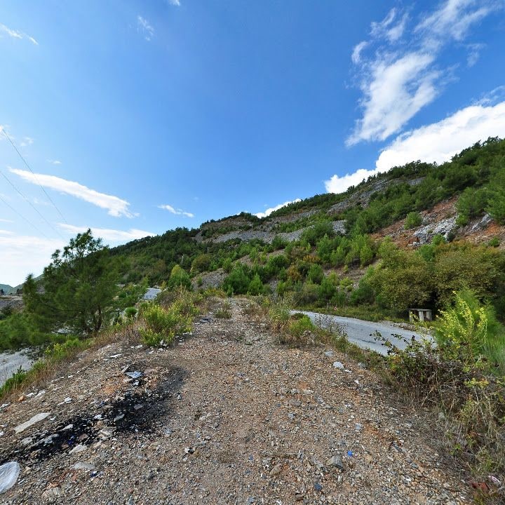 Fotoğraf 9