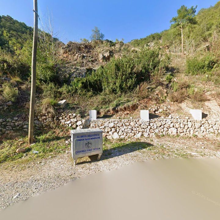 Fotoğraf 7
