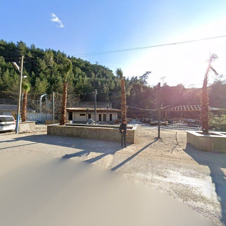 Fotoğraf 10